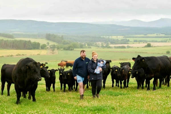 Building suckler herds and profits in focus at Deeside Monitor Farm summer meeting