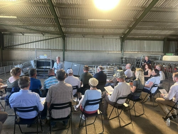 Top lamb weaning tips from Stirlingshire Monitor Farm summer meeting