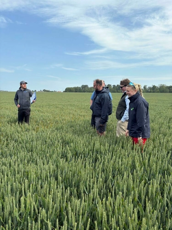 Start grass weed battle now, Monitor Farm meeting hears