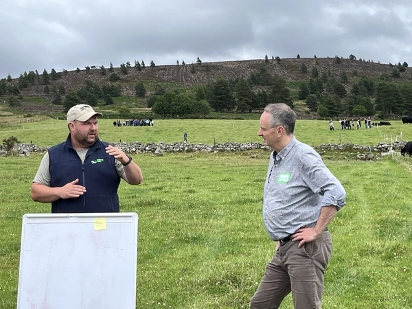 Deeside Monitor Farm meeting focuses on suckler herd expansion