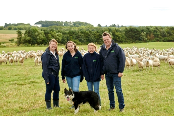 Sheep to take centre stage at upcoming Banff and Buchan Monitor Farm meeting