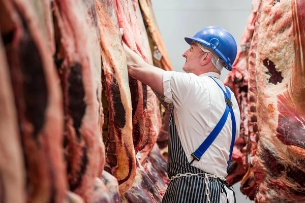 Producers invited to “Meat the Market” evening meetings to maximise livestock returns