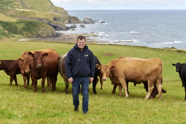 Bolus technology on trial for suckler cows at Banff and Buchan Monitor Farm