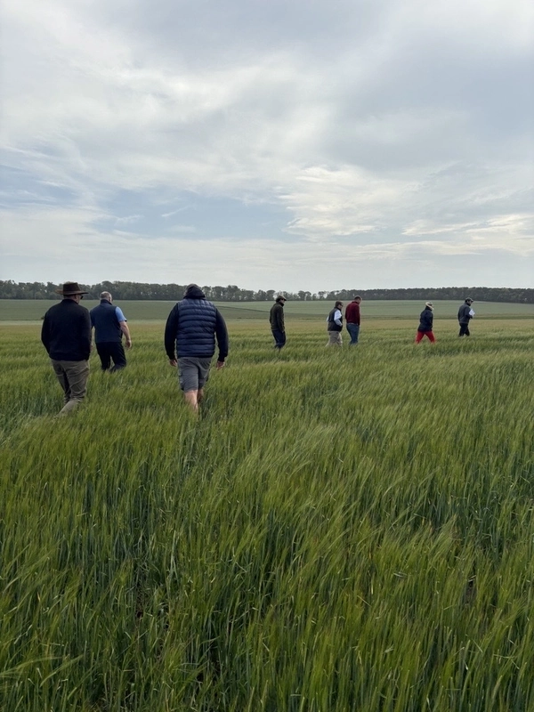 Cash flow and cost of production figures vital in tricky arable season