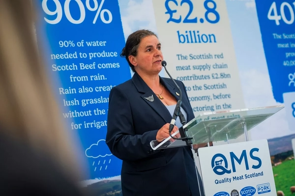 Reflecting on a Year of Progress – A Message from Kate Rowell, Chair of QMS