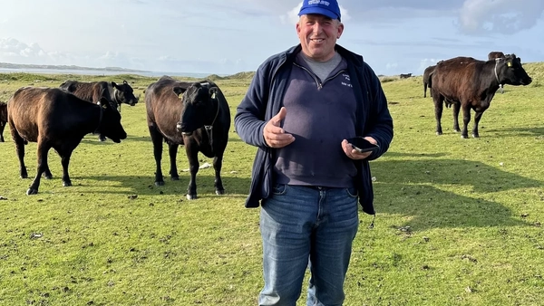 Upcoming Webinar: Who is your profitable suckler cow?