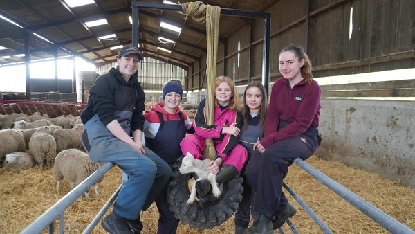 Minimising anything which could compromise a lamb’s immunity has paid dividends at Banff & Buchan Monitor Farm
