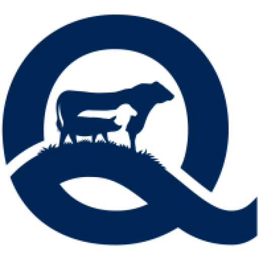 QMS logo favicon