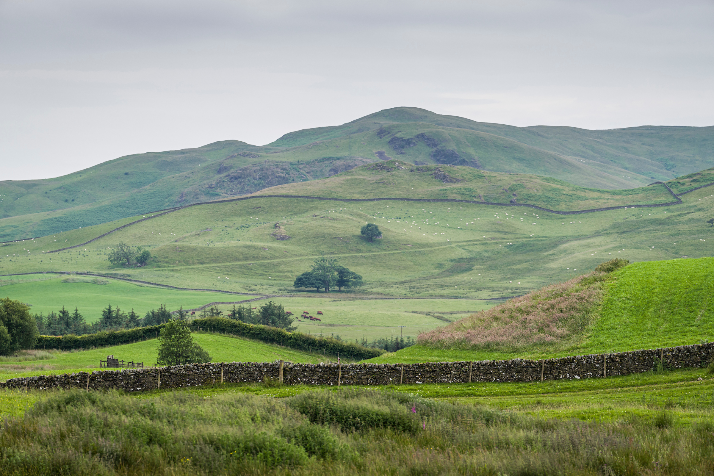 From data to decisions: Book now for the Environment Baselining Roadshow in Central Scotland