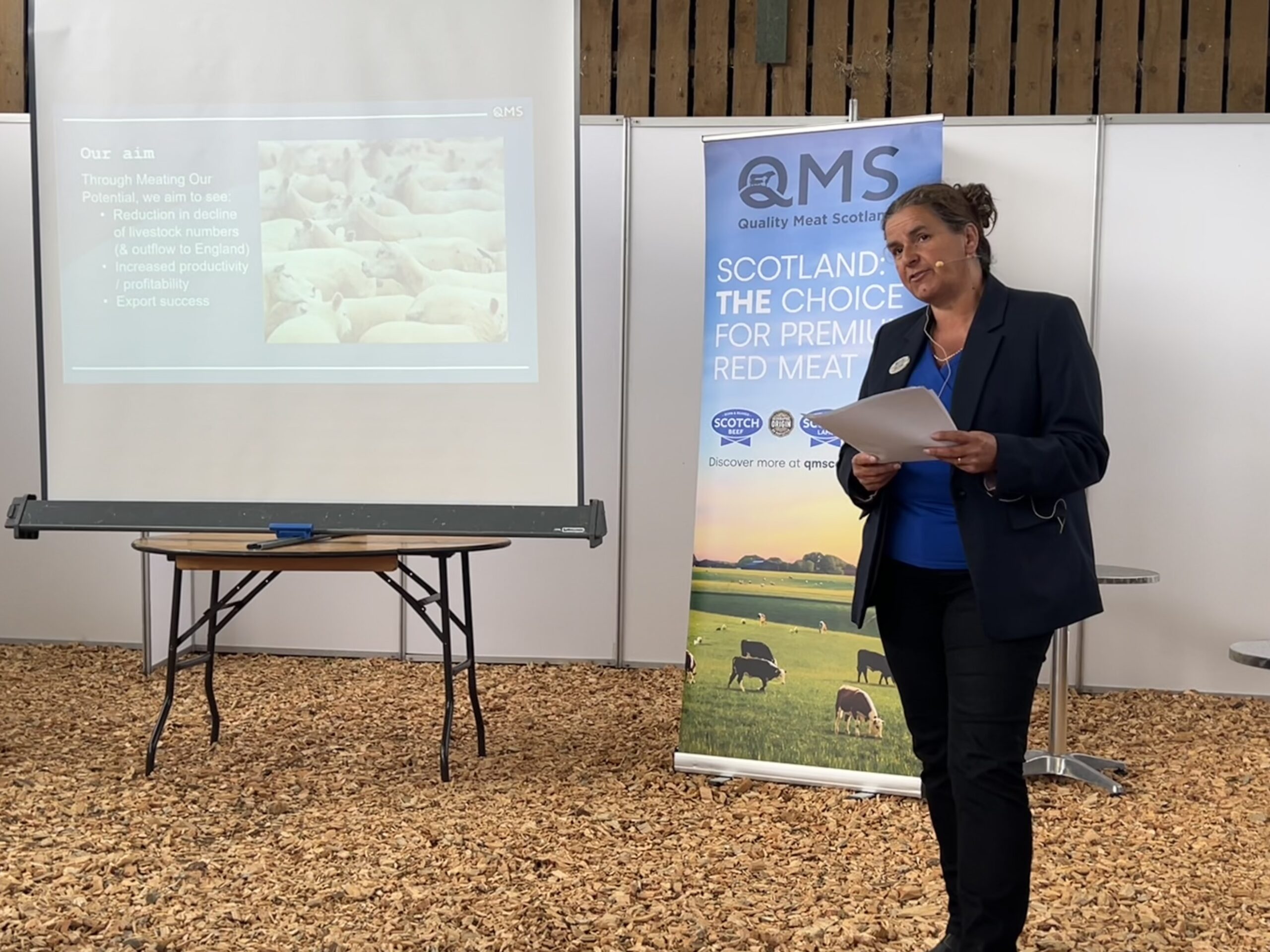 New QMS modelling highlights whole-supply-chain approach could maximise the value of Scotland’s sheep sector