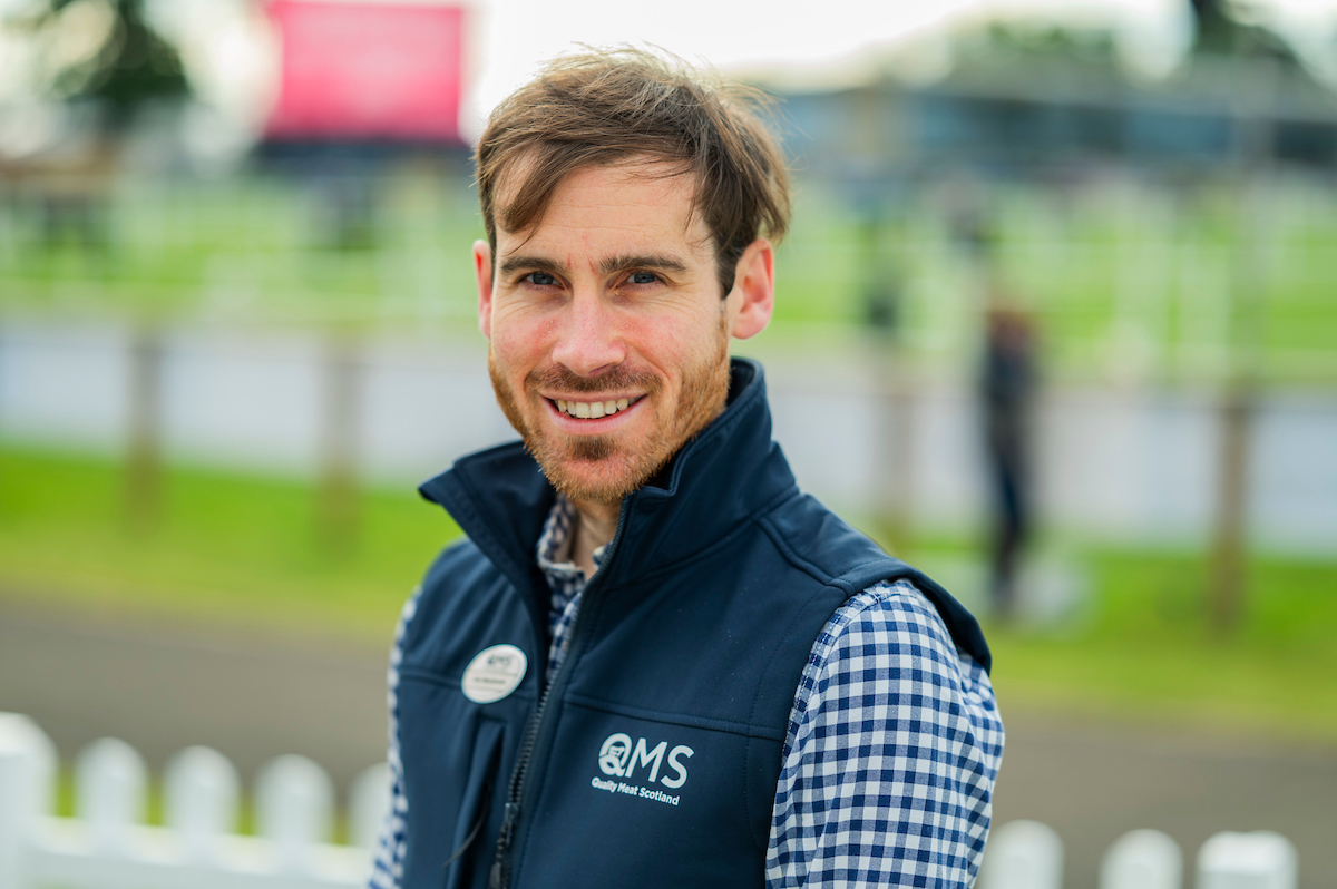 Scottish Lamb market remains strong despite seasonal price adjustment