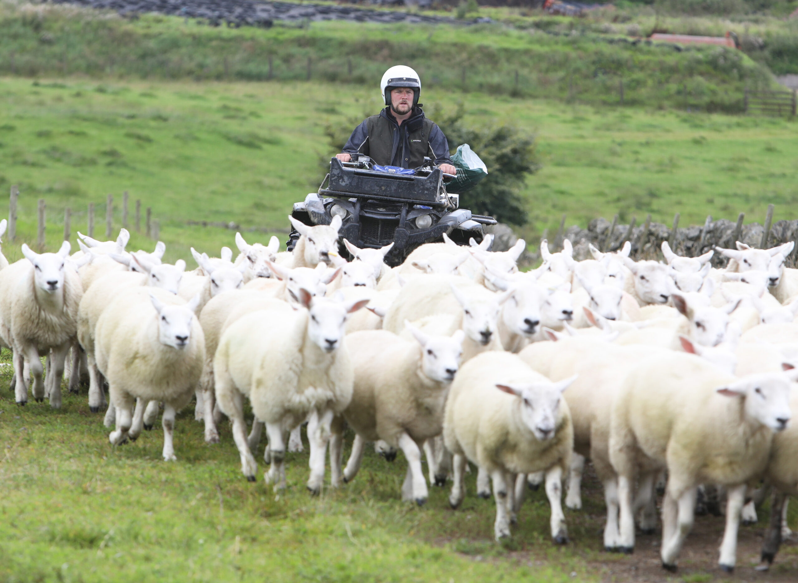 ‘Making inputs count’ focus at upcoming Dumfries Monitor Farm meeting