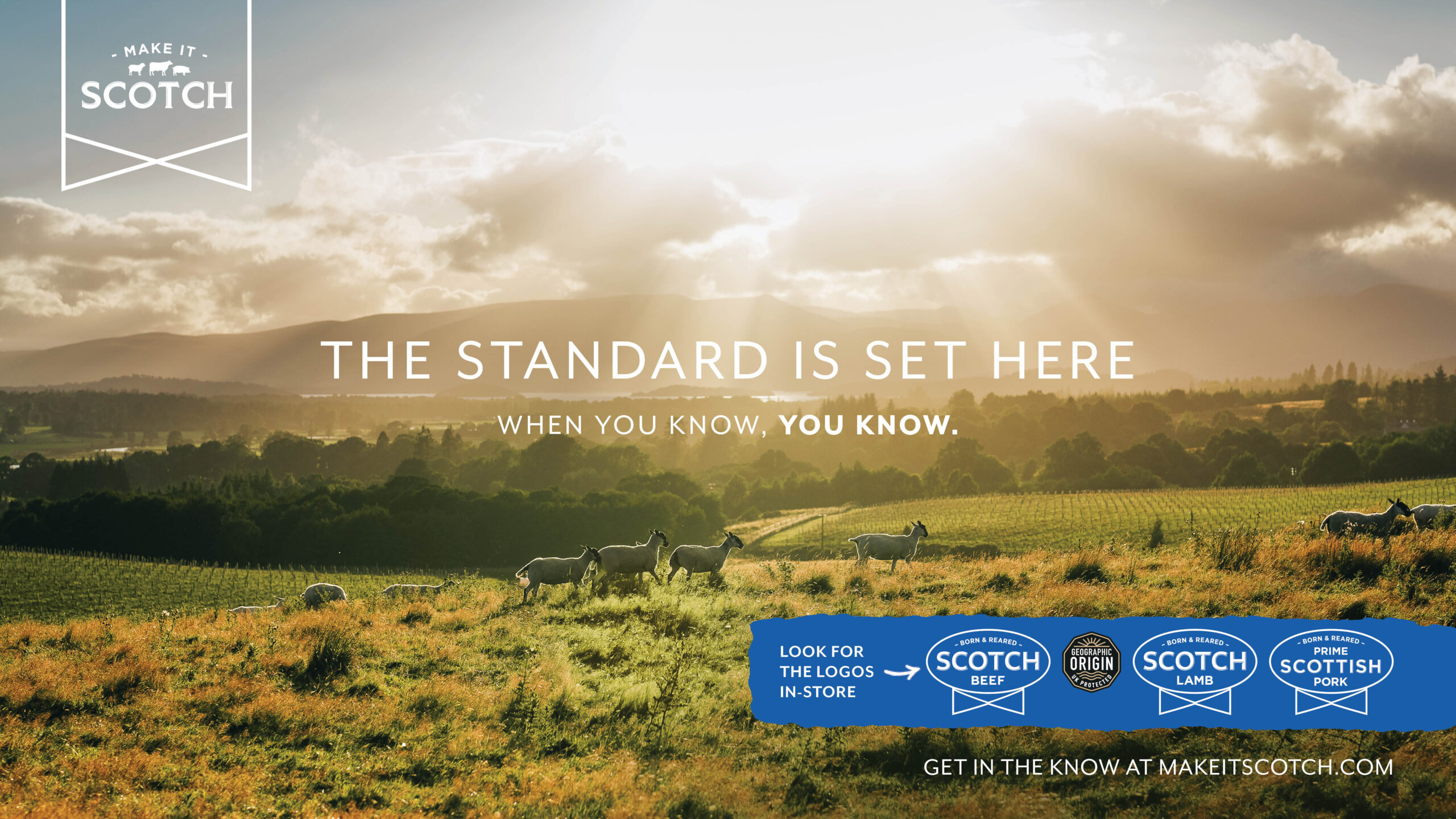 Make it Scotch autumn campaign set to reach 80% of Scottish adults