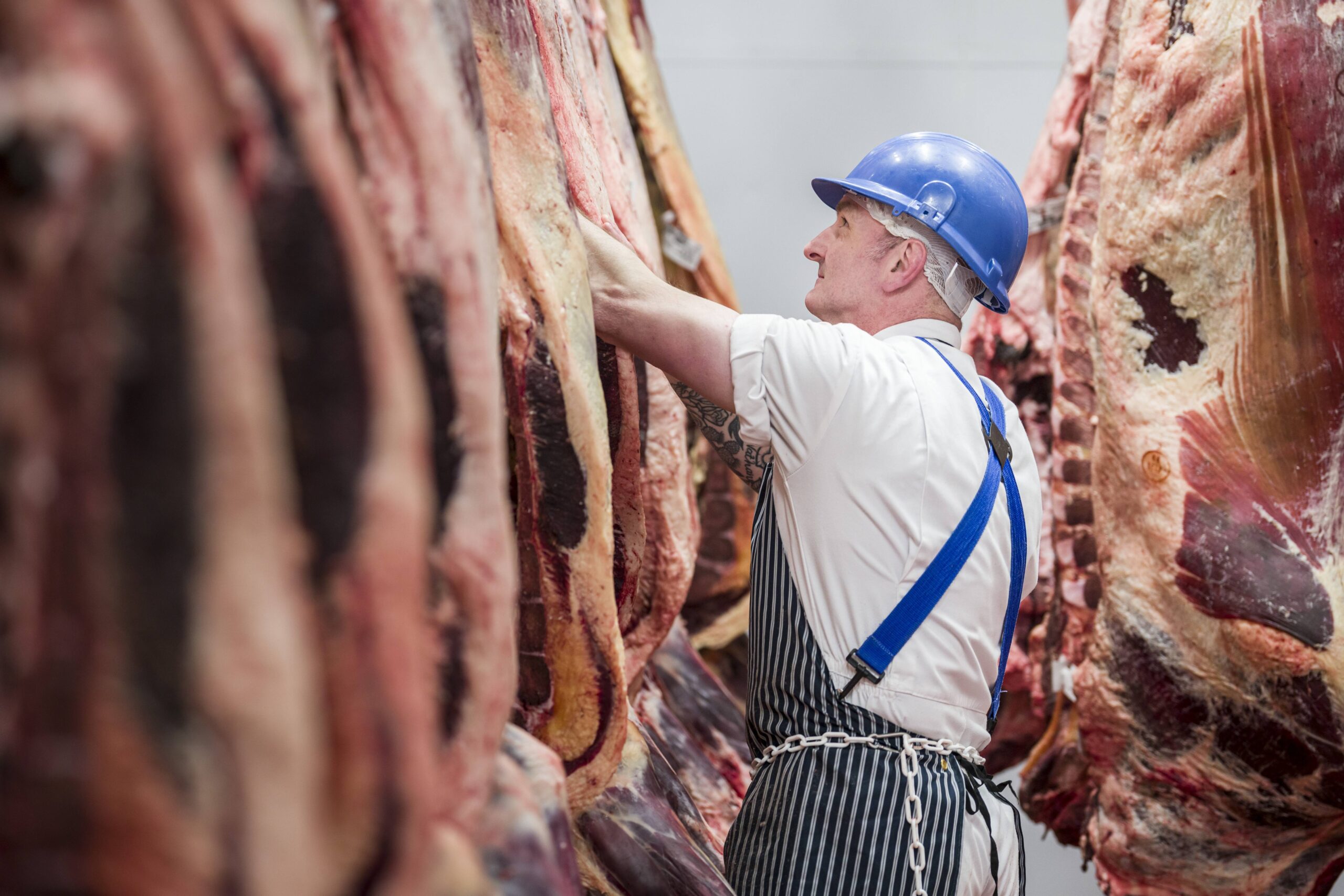 Quality Meat Scotland announces ‘Meat the Market’ workshops